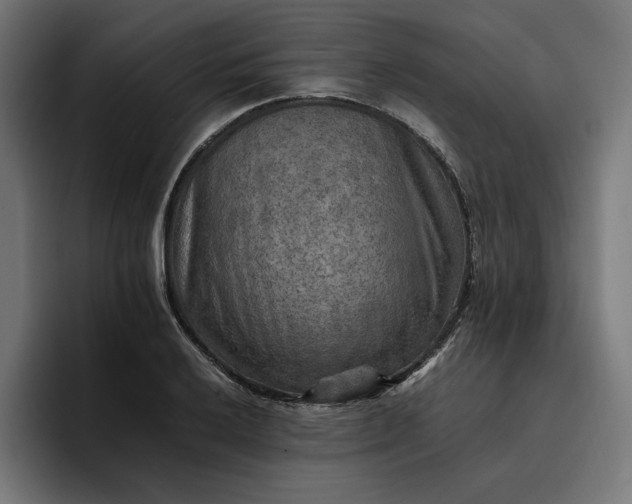 X0000096701032200802191444