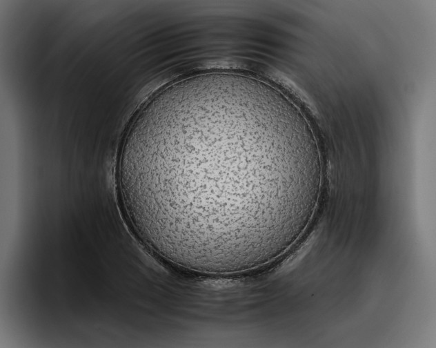 X0000096701033200802191444