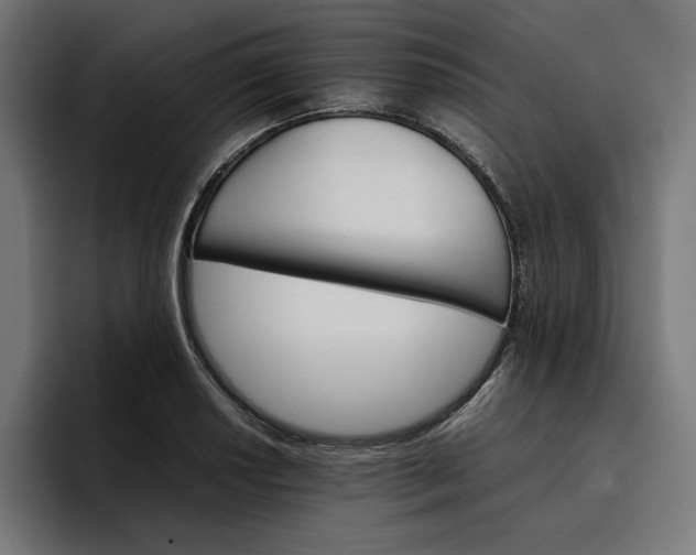 X0000096701034200802191444