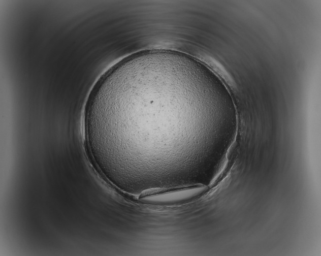 X0000096701036200802191444