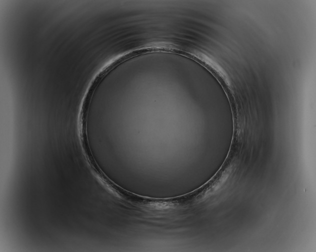 X0000096701037200802191444