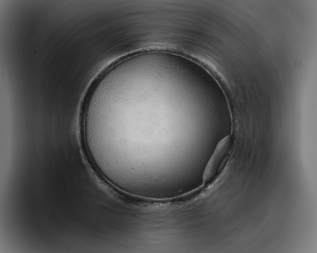 X0000096701038200802191444