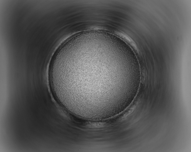 X0000096701039200802191444