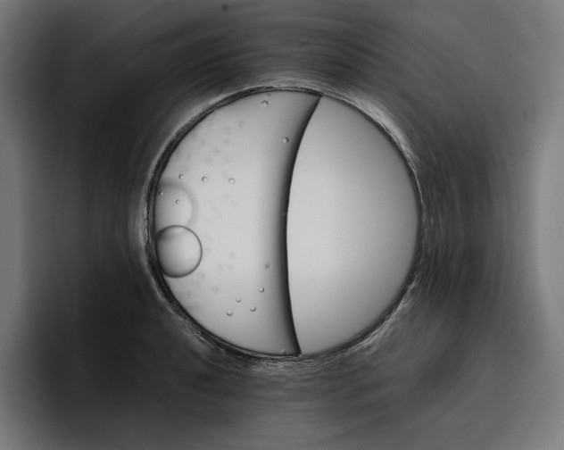 X0000096701040200802191444