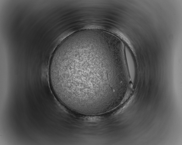 X0000096701041200802191444