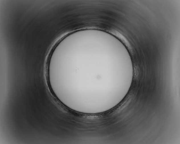 X0000096701043200802191444
