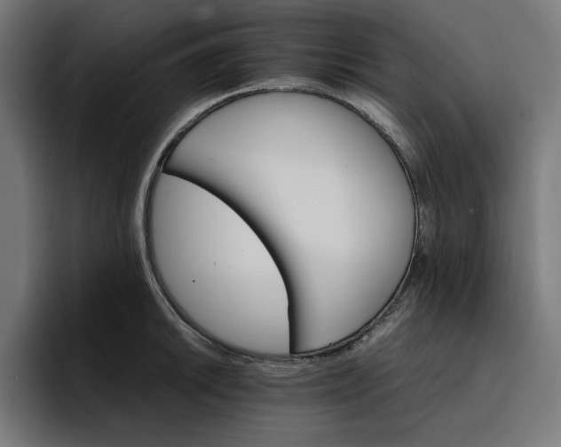 X0000096701046200802191444