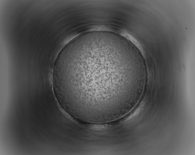 X0000096701049200802191444