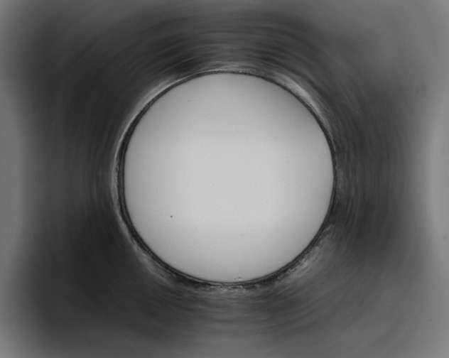 X0000096701050200802191444