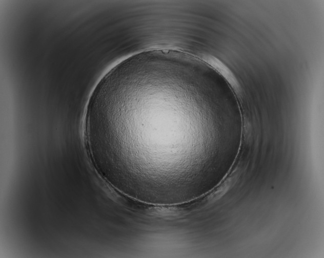 X0000096701052200802191444