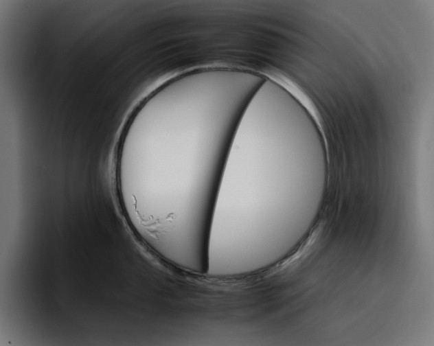 X0000096701053200802191444