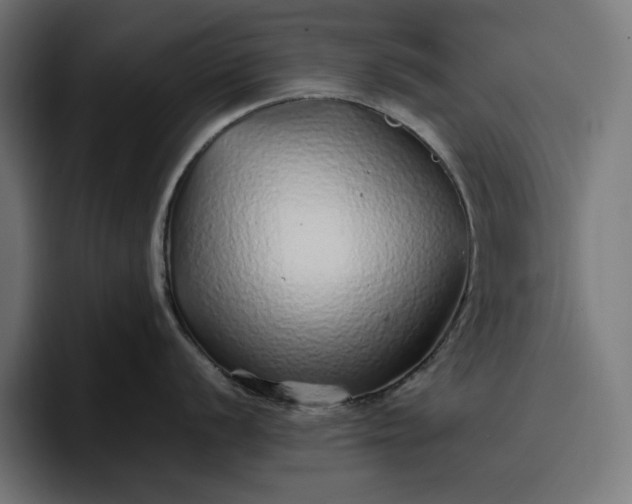 X0000096701056200802191444