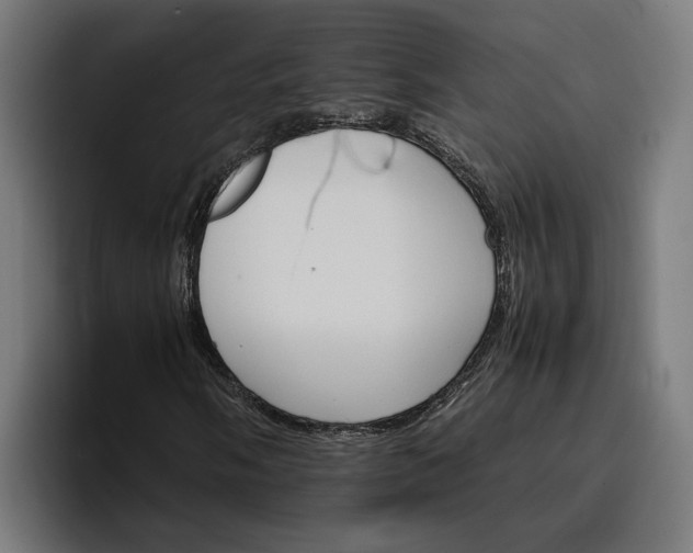 X0000096701058200802191444
