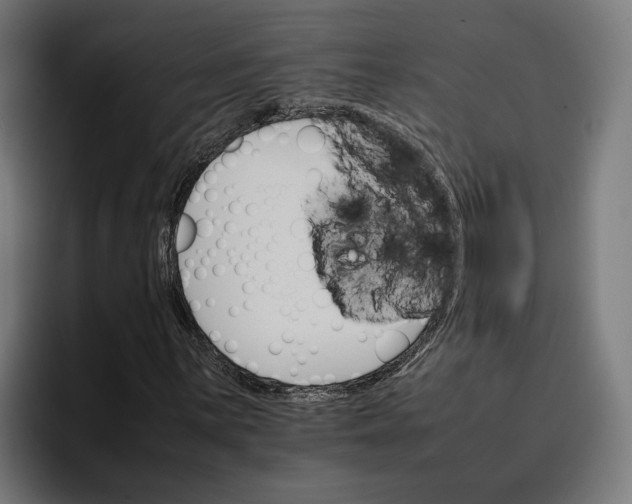X0000096701059200802191444
