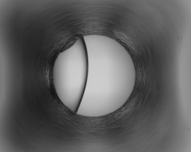 X0000096701060200802191444