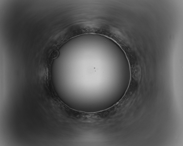 X0000096701061200802191444