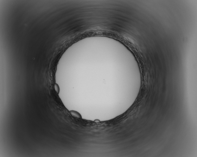 X0000096701062200802191444