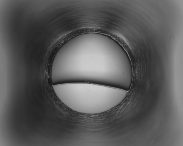 X0000096701064200802191444