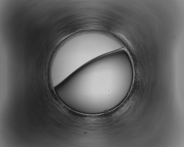 X0000096701065200802191444