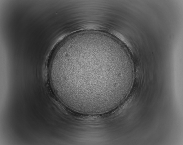 X0000096701067200802191443