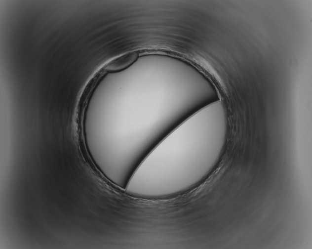 X0000096701068200802191443