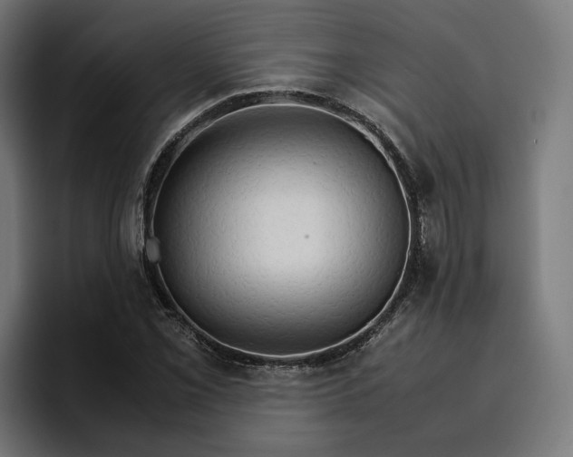 X0000096701069200802191443