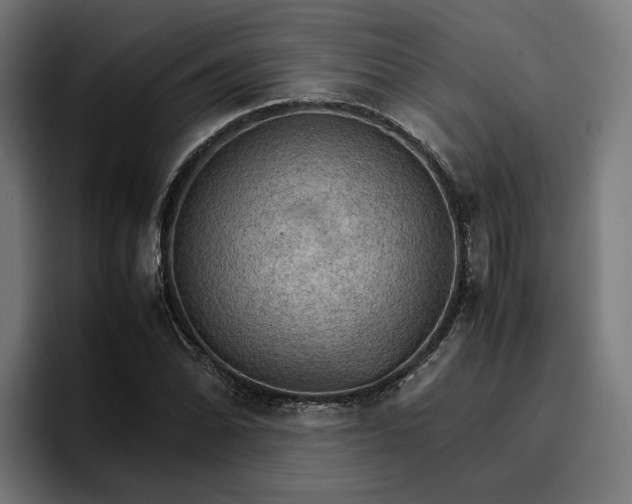 X0000096701070200802191443
