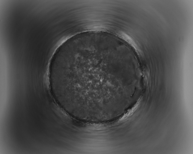 X0000096701071200802191443