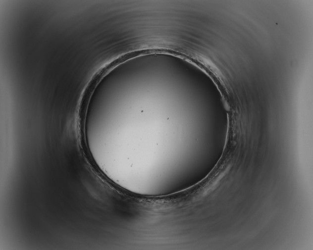 X0000096701072200802191443