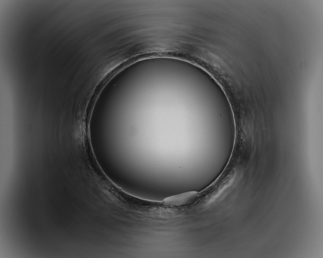 X0000096701073200802191443