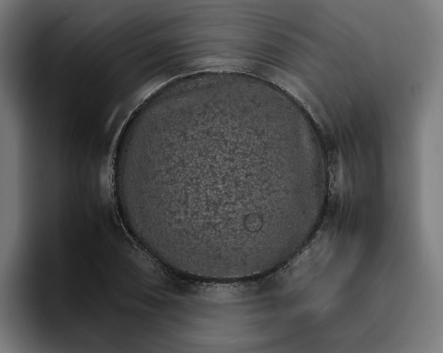 X0000096701074200802191443