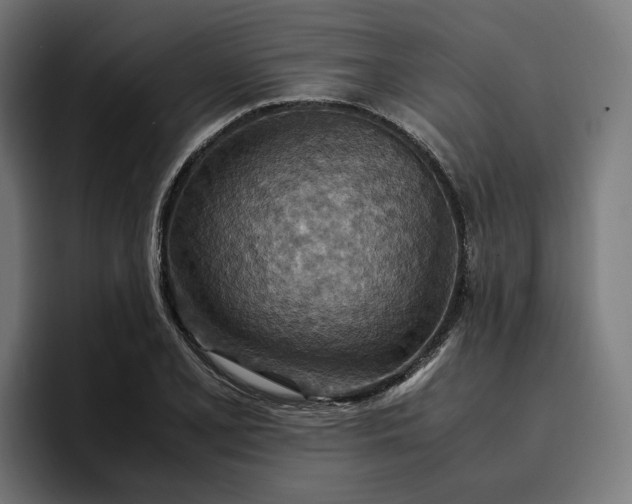 X0000096701077200802191443