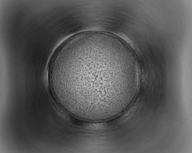 X0000096701078200802191443