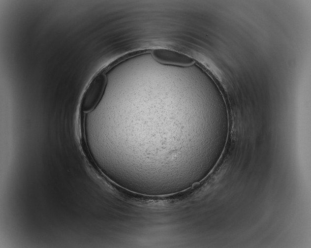 X0000096701080200802191443