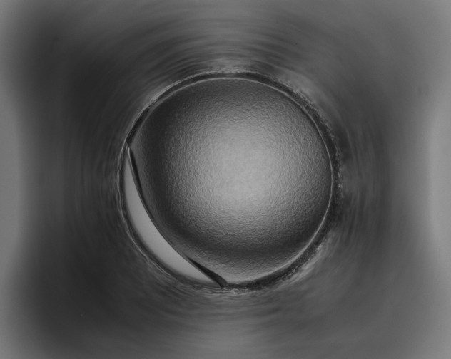 X0000096701081200802191443