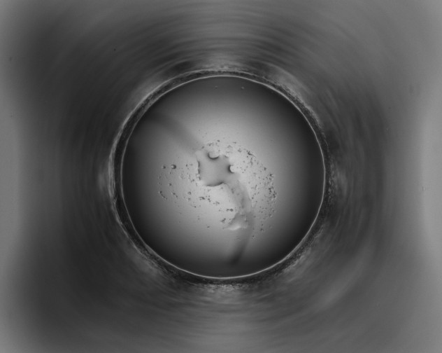 X0000096701082200802191443