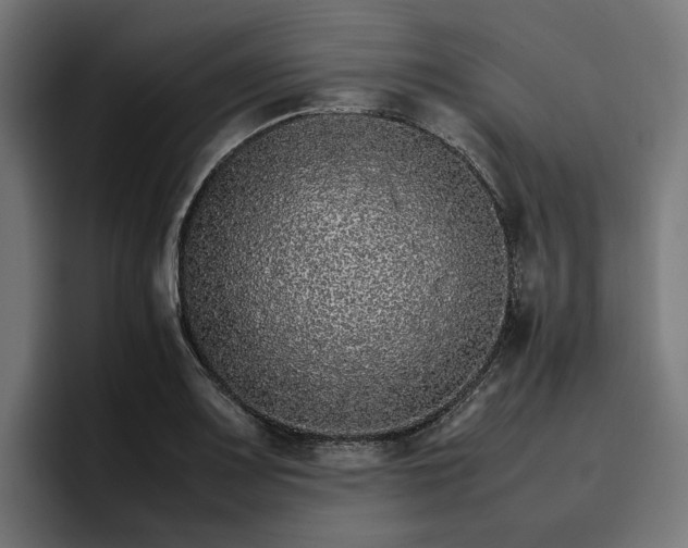 X0000096701083200802191443