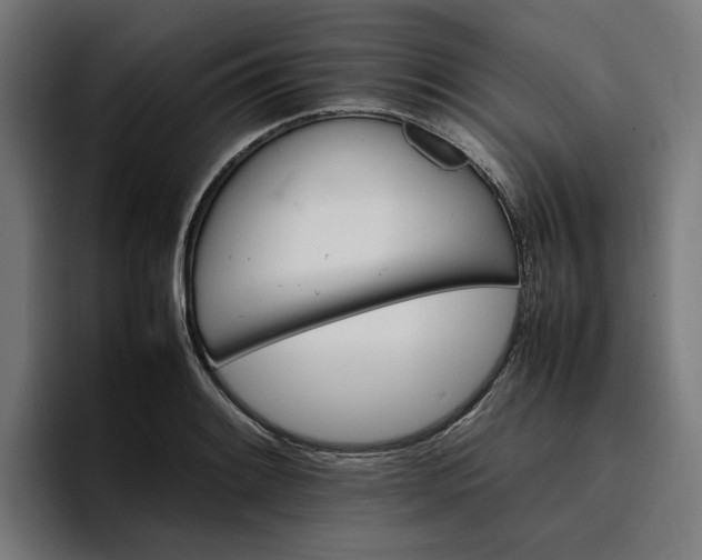 X0000096701084200802191443