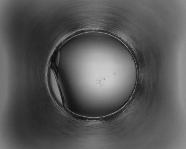 X0000096701085200802191443