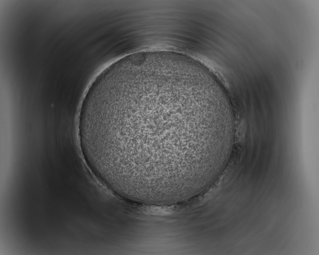 X0000096701086200802191443