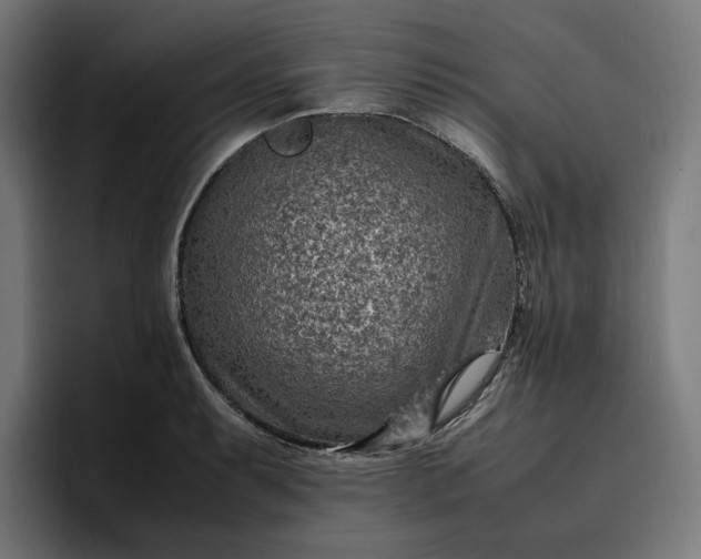 X0000096701087200802191443