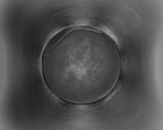 X0000096701088200802191443