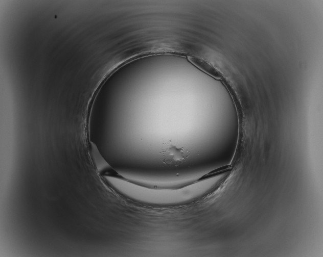 X0000096701089200802191443