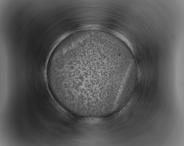 X0000096701090200802191443