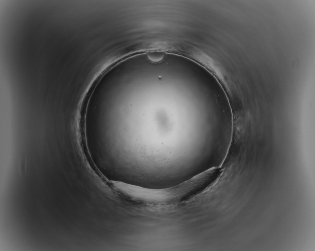X0000096701091200802191443