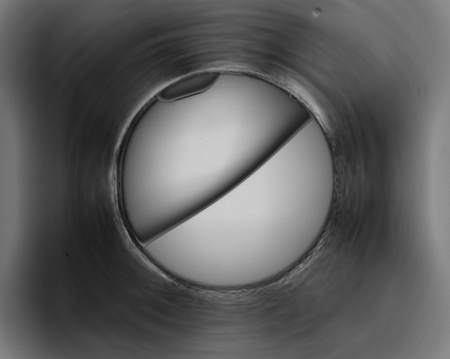 X0000096701092200802191443
