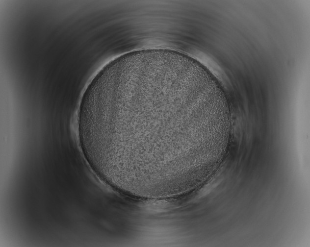X0000096701094200802191443