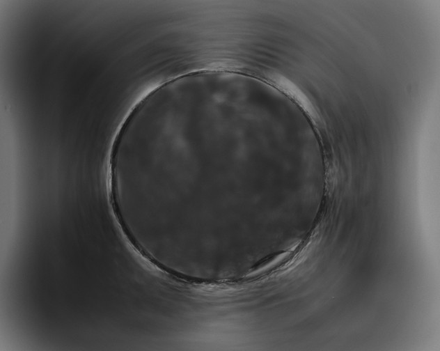 X0000096701095200802191443