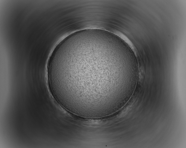 X0000096701096200802191443