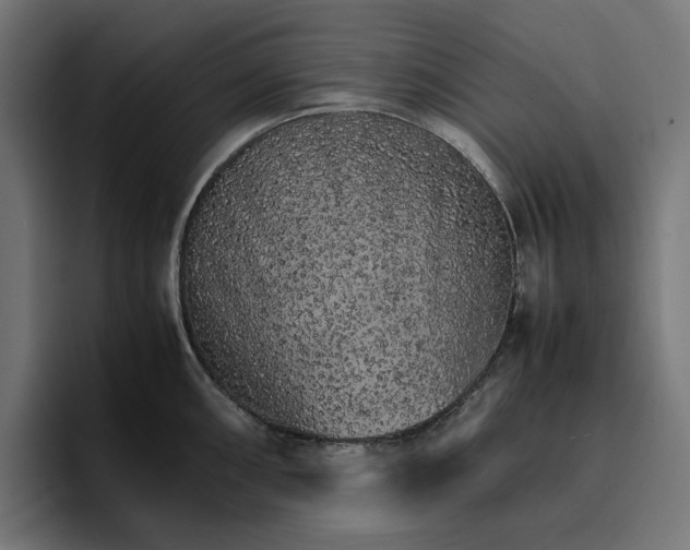 X0000096701098200802191443